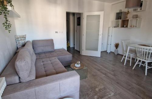 Paracin Apartment | River Apartment