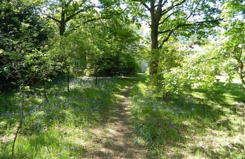 Holmebridge House | River Cottage a country retreat in wooded gardens