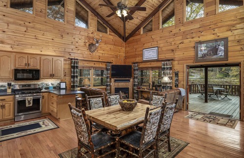 Blue Ridge Cabin | RIVER RUN - Blue Ridge, GA/Aska/Riverside & pet friendly!