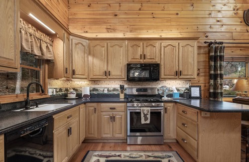 Blue Ridge Cabin | RIVER RUN - Blue Ridge, GA/Aska/Riverside & pet friendly!