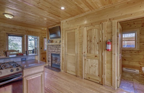 Pagosa Springs Cabin | Riverfront Cozy Cabin, Gas Fireplace, Pet-Friendly, Close to Downtown, Skiing, and Hiking Adventures