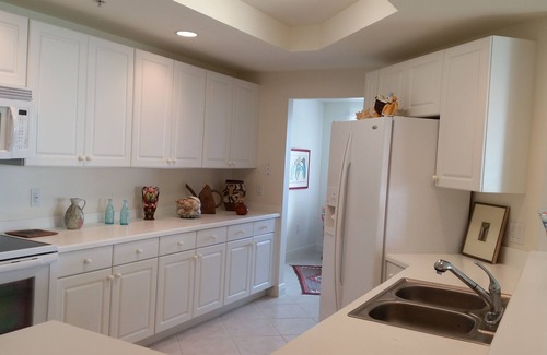 Edgewood Condo | Riverfront High Rise Sophistication Downtown Fort Myers Beautiful Views!