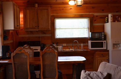 Hot Springs Cabin | Riverfront Log Cabin, Hot Tub, Pet-Friendly, Universal Access