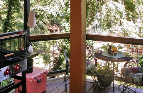 Ben Lomond Apartment | RiverFront TREEHOUSE Inspiring Rental Ancient REDWOODS AMAZING VIEWS!!