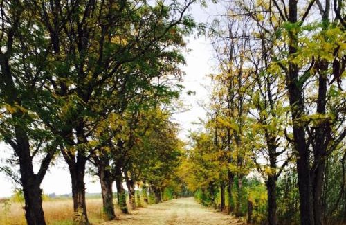 Govan Mbeki Cabin | Riverside Escape