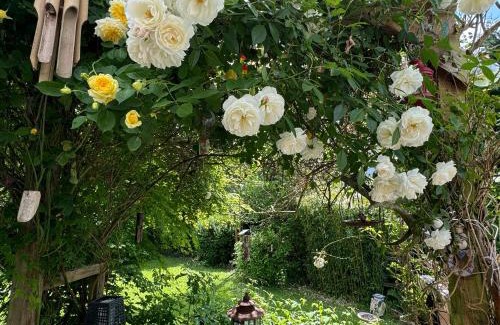 Combe Martin House | Riverside