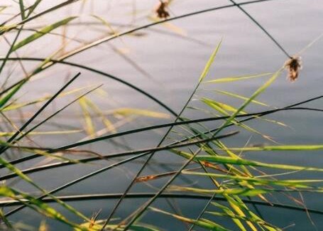 Port Beaufort House | Rivertime