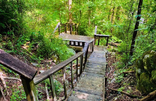 Townsend Cabin | Riverview