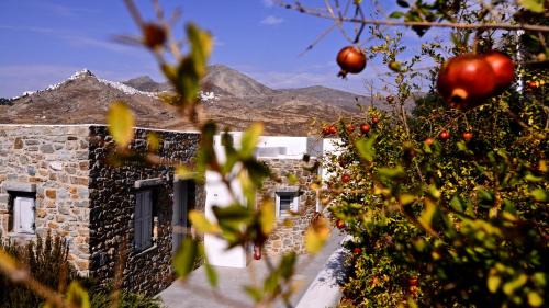 Serifos Apartment | Rizes Hotel