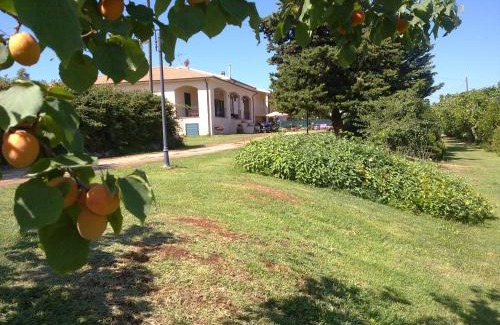 San Vincenzo House | Roberta appartamenti "Le Muratelle"