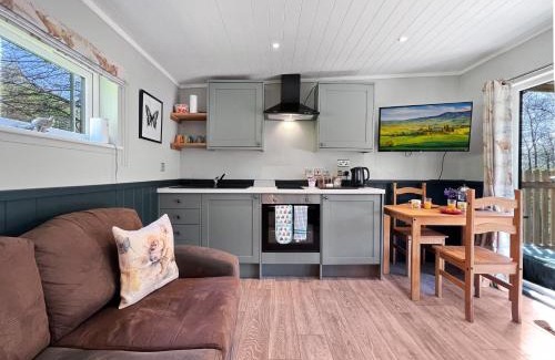 South Molton Cabin | Robins Nest Lodge