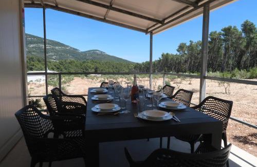 Cara House | Robinson olive tree huts