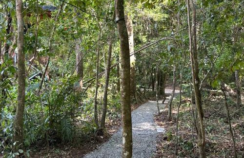 Monteverde House | Roca Verde - Monteverde Cloud Forest Lodging