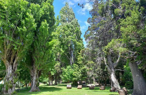 Playa Bonita Apartment | Rochester Bariloche