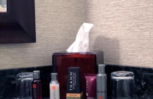 Downtown Hotel | Rochester Marriott Mayo Clinic Area