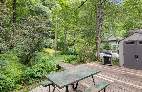 Chimney Rock House | Rock Base - Dog Friendly - Fire Pit - Internet - Walk to downtown - Mr. Lake Lure Vacation Rentals