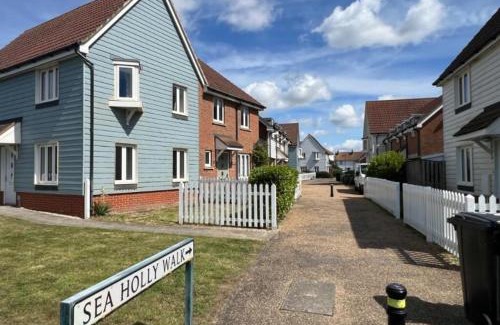 Camber House | Rock Lobster