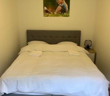 Otterlo House | Rode Eekhoorn: genieten met de dieren in het bos!