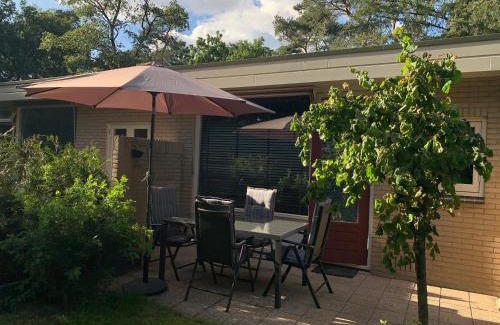 Otterlo House | Rode Eekhoorn: genieten met de dieren in het bos!