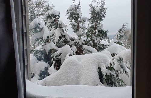 Braunlage Apartment | Rodel Lodge - Alpine Lifestyle Lodge for 2-6 people with sauna and hot pot!