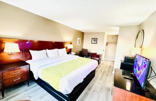 Jackson Hotel | Rodeway Inn Jackson Northwest