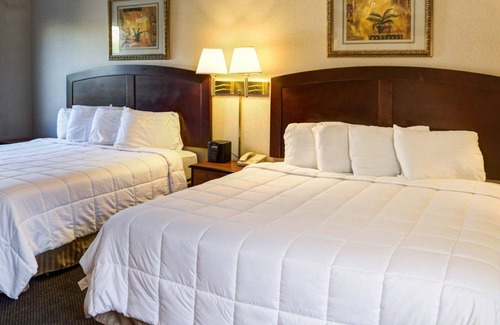 Del Rey Hotel | Rodeway Inn near Venice Beach