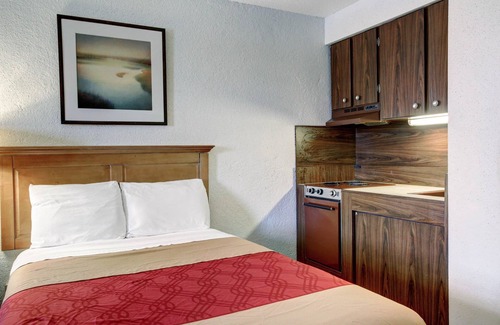 New Braunfels Hotel | Rodeway Inn New Braunfels