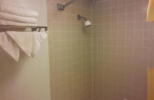 South Arlington Hotel | Rodeway Inn