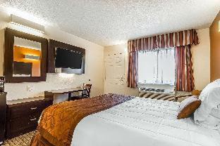 Rohnert Park Hotel | Rodeway Inn Wine Country