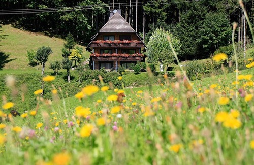 Oberwolfach Apartment | Rohrhardsberg, 75qm, zwei Schlafzimmer, max. 6 Personen
