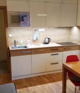 Rokytnice nad Jizerou Apartment | Rokytka apartmán 217