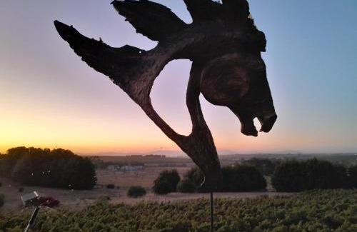 Koelenhof House | Roland’s Valley Art Accommodation