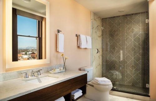 Roanoke Hotel | Roll-in Shower, ADA Design, Boutique Hotel in Heart of Downtown Roanoke