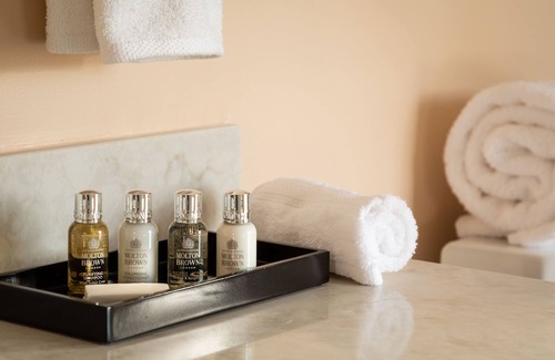 Roanoke Hotel | Roll-in Shower, ADA Design, Boutique Hotel in Heart of Downtown Roanoke