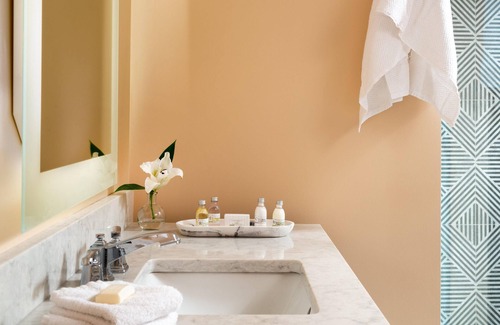 Roanoke Hotel | Roll-in Shower, ADA Design, Boutique Hotel in Heart of Downtown Roanoke