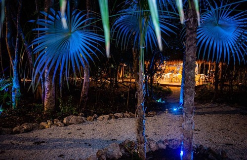 Akumal Cabin | Romantic Getaway in the Jungle with AC