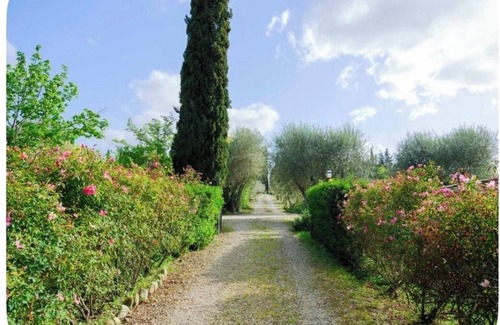 Grassina Bed & Breakfast | Romantic bedroom in +600years old villa, with pool view