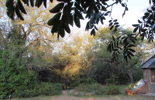 Thorny Bush Game Reserve House | Romantic canvas pad on river, share shower with monkeys and listen to the lions