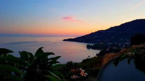 Latte House | Romantic Casa Lorenzina Affittacamere