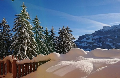 Hippach Ski Chalet | Romantic Chalet Waldschlössl