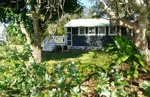 Hawi Cottage | Romantic Cottage, Stunning Ocean Views, Whales are jumping!