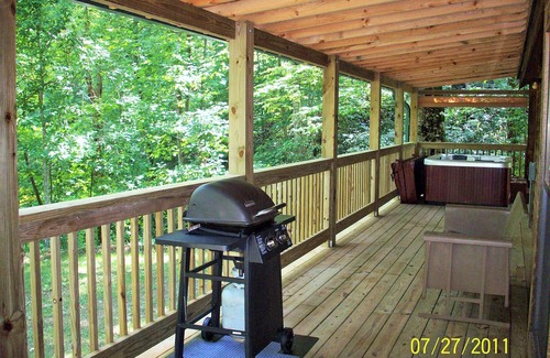 Hot Springs Cabin | Romantic Honeymoon cabin on Spring Creek with hot tub fire ring trout fishing