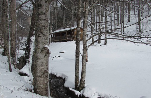 Hot Springs Cabin | Romantic Log Cabin On Creek And 100 Acres, Hot Tub, Wifi, Gas Grill, Hiking