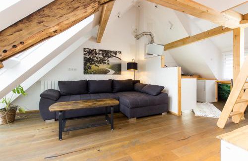 Zeltingen-Rachtig Apartment | Romantisches Studio 4 Rosenburgblick in Moselnähe