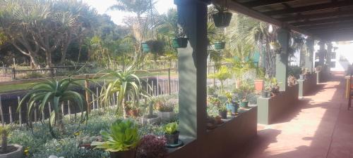 Humansdorp Apartment | Rondebosch Gardens