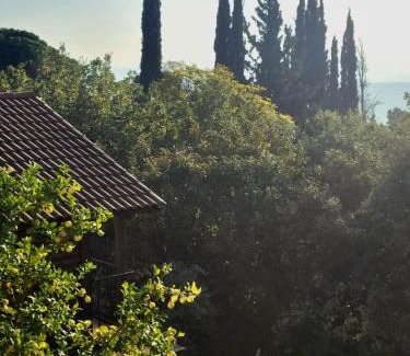 Amirim House | Roof Of The Galilee