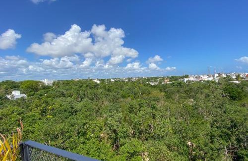 Ejidal Apartment | Roof top Condo - Privileged view - 100MbWfi