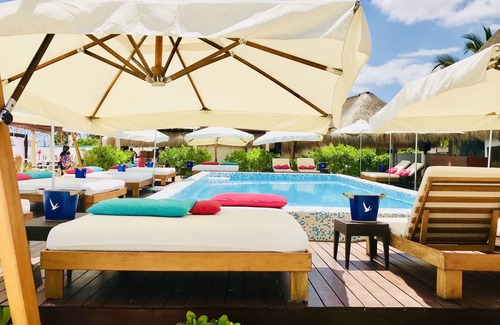 Luis Donaldo Colosio Condo | Room-condohotel 5th Avenue Deluxe Triple