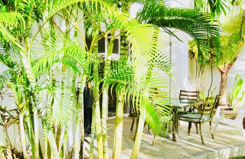 Playacar Fase II House | Room-executive Basic Room With Swimming