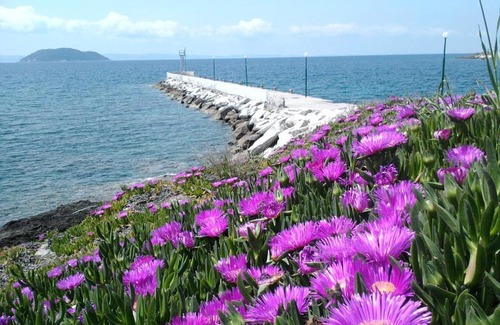 Neos Marmaras House | Room in BB - Welcome To Hotel petunia, In Neos-marmaras,xalkidiki ,greece, triple room 7